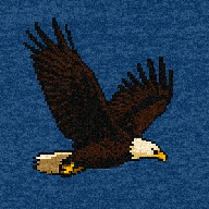 Flying Eagle logo